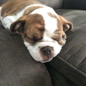 Meet your Posher, Reveles